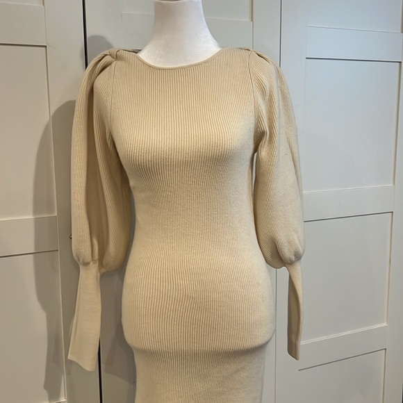 New! French Connection “Joss” midi dress NWT - Picture 4 of 5